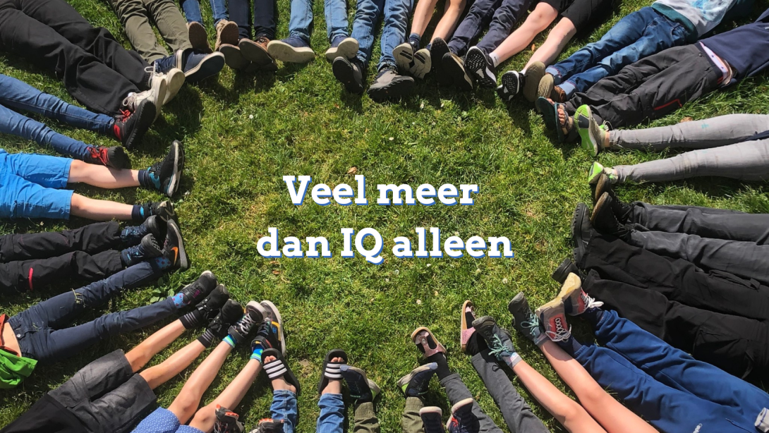 Veel meer dan IQ alleen